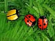 Juego 2 Many Bugs Juego 2 Many Bugs