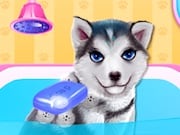 Juego Cachorro Husky al Salón de Belleza Juego Cachorro Husky al Salón de Belleza