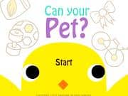 Juego Can your Pet Juego Can your Pet