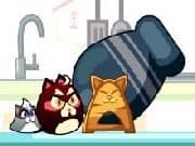 Juego Cañon de Gatos Juego Cañon de Gatos