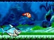 Juego Carrera de Peces Juego Carrera de Peces