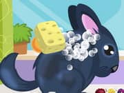 Juego Chinchilla Pet Care Juego Chinchilla Pet Care