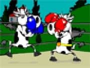 Juego Cow Fighter Juego Cow Fighter