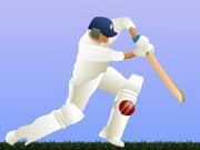 Juego Cricket Juego Cricket