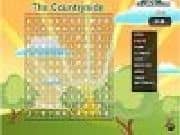 Juego Crucigrama Campo Juego Crucigrama Campo