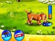 Juego Cuidando Mascotas Juego Cuidando Mascotas