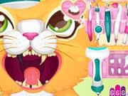 Juego Dentista de Gatos Juego Dentista de Gatos