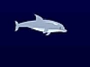 Juego Dolphin Olympics Juego Dolphin Olympics
