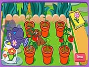 Juego Dora Jardin Musical Juego Dora Jardin Musical