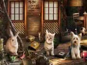 Juego El Ladrón de Mascotas Juego El Ladrón de Mascotas