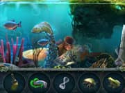 Juego Elementos del Agua Sagrada Juego Elementos del Agua Sagrada