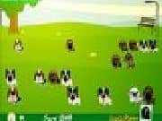Juego Encuentra tu Perro Juego Encuentra tu Perro