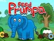 Juego Feed Prumpa Elefante Juego Feed Prumpa Elefante