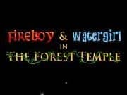 Juego FireBoy y WaterGirl Juego FireBoy y WaterGirl