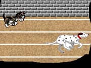 Juego Gattolimpiadi Juego Gattolimpiadi