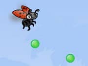 Juego Lady-bug! Lady-bug! Juego Lady-bug! Lady-bug!