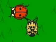 Juego The Lady Bug Juego The Lady Bug