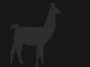 Juego Llama Adventure Juego Llama Adventure