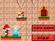 Juego Mario Giant Journey Juego Mario Giant Journey