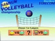 Juego Namnum Volleyball II Juego Namnum Volleyball II