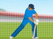 Juego Practice Cricket Juego Practice Cricket