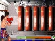 Juego Rocky Legends Juego Rocky Legends