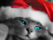 Juego Santa Cat Puzzle Juego Santa Cat Puzzle