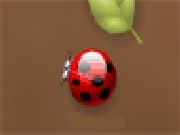 Juego Spider Bugs Juego Spider Bugs