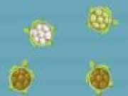 Juego Turtle Pool Juego Turtle Pool